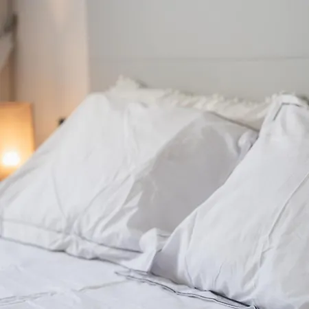 Designer Loft With Pool, With Gigantic Terrace And Private Parking & In The Centre