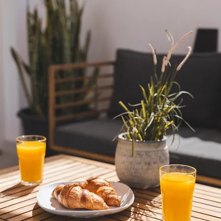 Designer Loft With Pool, With Gigantic Terrace And Private Parking & In The Centre Apartament *